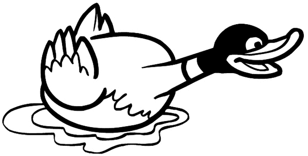 Mallard duck in water vinyl sticker. Customize on line.      Animals Insects Fish 004-1240  